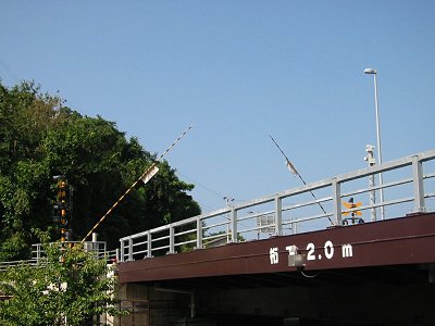 photo:茋`