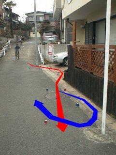 photo:特製セクション
