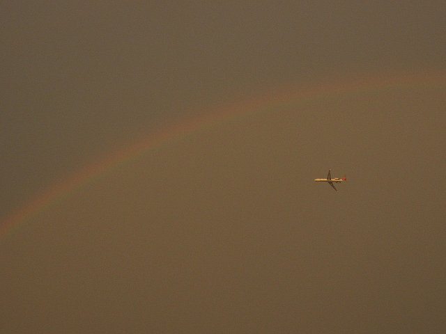 20090508.jpg